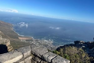 Cape Town: Half-day Table Mountain Hiking Private Tour