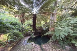 Città del Capo: mezza giornata alla Table Mountain e ai giardini di Kirstenbosch