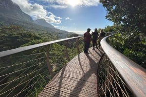 Città del Capo: mezza giornata alla Table Mountain e ai giardini di Kirstenbosch