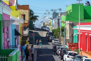 Cape Town: Half-Day Walking City Tour and African Lunch