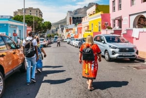 Cidade do Cabo: city tour a pé de meio dia e almoço africano