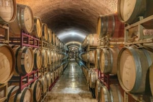 Cape Town: Half-Day Wineries and Tastings Small Group Tour