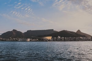 Cape Town: Half-hour Jet Ski Experience