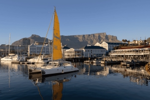 Cape Town: Half-hour Jet Ski Experience