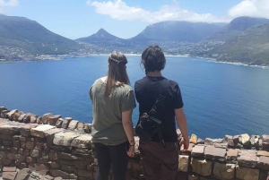 Cidade do Cabo: Passeio de meio dia com pinguins africanos