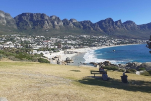 Cidade do Cabo: Passeio de meio dia com pinguins africanos