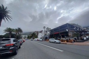 Cidade do Cabo: Passeio de meio dia com pinguins africanos