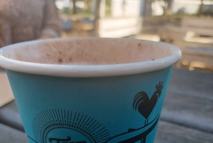 Cidade do Cabo: Passeio de meio dia com pinguins africanos