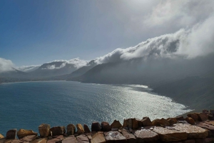 Cidade do Cabo: Passeio de meio dia com pinguins africanos