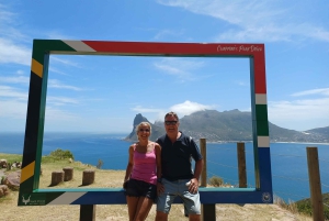 Cidade do Cabo: Passeio de meio dia com pinguins africanos