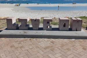 Cidade do Cabo: Passeio de meio dia com pinguins africanos