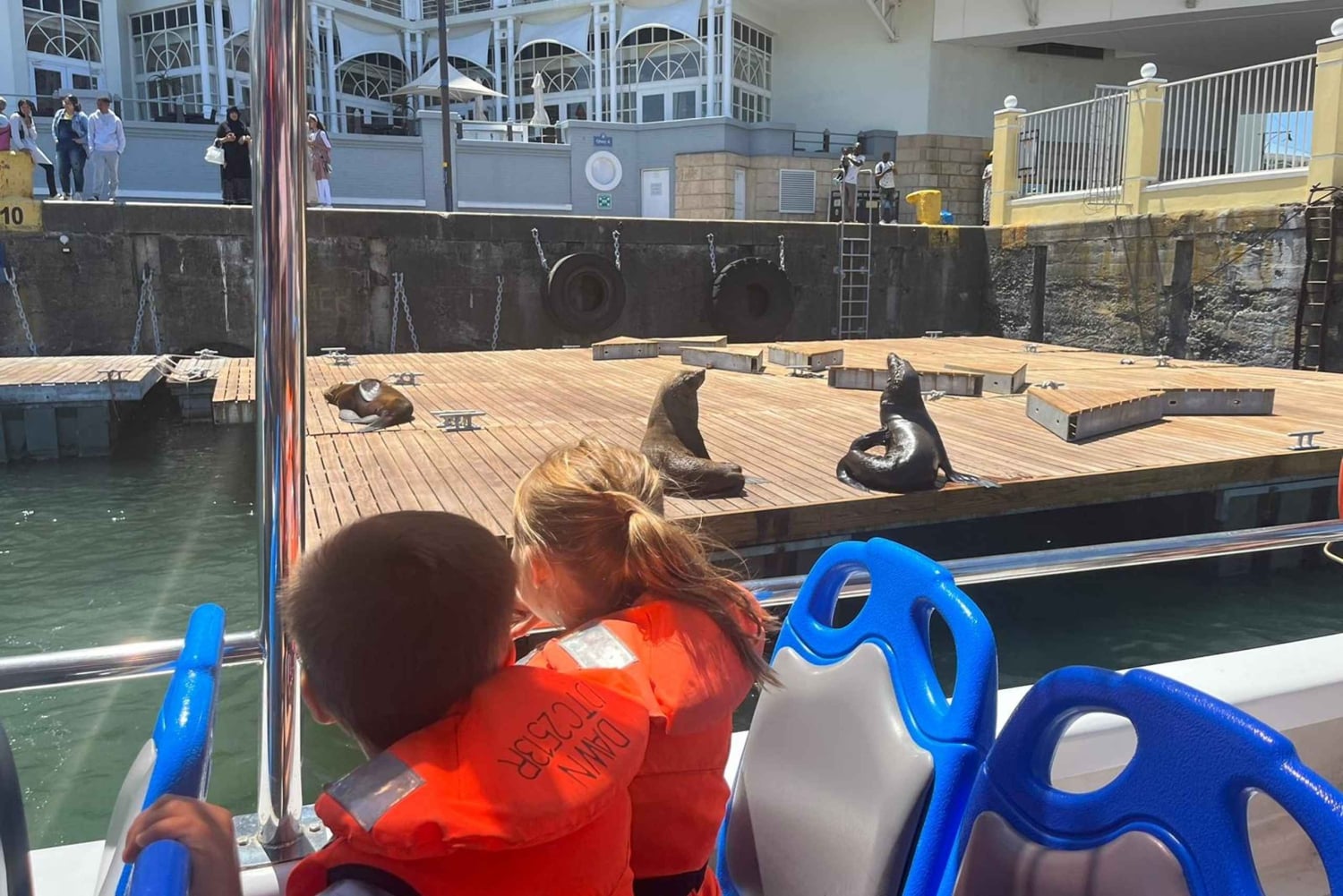 Kapsztad: rejs po porcie