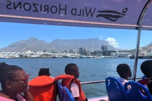 Kaapstad: havencruise