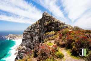 Kapstadt: Hubschrauberflug, Oldtimer-Fahrt und Mittagessen