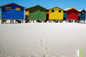 Kapstadt: Hubschrauberflug, Oldtimer-Fahrt und Mittagessen