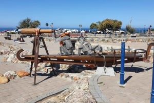 Kapstaden: Hermanus valskådning med delad båt och pingviner