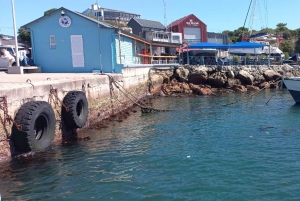 Cape Town: Hvalsafari i Hermanus og tur i Vinlandet