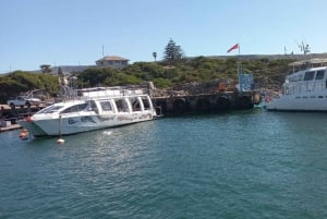 Cape Town: Hvalsafari i Hermanus og tur i Vinlandet