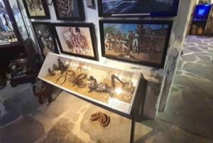 Les joyaux cachés du Cap Visite à pied/visite locale/visite des musées