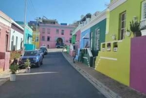 Cape Town skjulte perler Vandring/lokal omvisning/museumstur