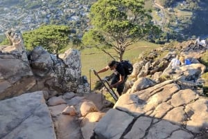 Cape Town: Hike Lion's Head with a Content Creator