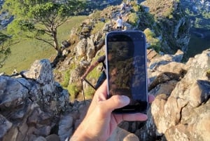 Cape Town: Hike Lion's Head with a Content Creator