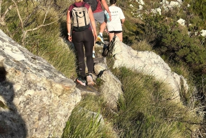 Kapkaupunki: Vaellus Pöytävuorelle sisällöntuottajan kanssa