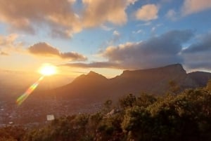 Cape Town: Guided Lion's Head Sunrise or Sunset Hike