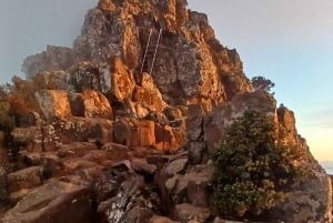 Cape Town: Guided Lion's Head Sunrise or Sunset Hike