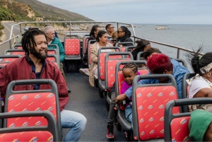 Le Cap : bus à arrêts multiples et dégustation de vins à Groot Constantia