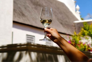 Le Cap : bus à arrêts multiples et dégustation de vins à Groot Constantia