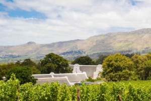 Le Cap : bus à arrêts multiples et dégustation de vins à Groot Constantia