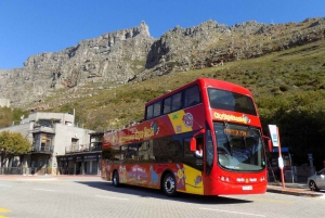 Le Cap : bus à arrêts multiples et dégustation de vins à Groot Constantia