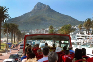 Le Cap : bus à arrêts multiples et dégustation de vins à Groot Constantia