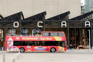 Le Cap : bus à arrêts multiples et dégustation de vins à Groot Constantia