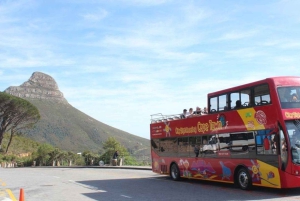 Le Cap : bus à arrêts multiples et dégustation de vins à Groot Constantia