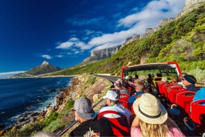 Le Cap : bus à arrêts multiples et dégustation de vins à Groot Constantia