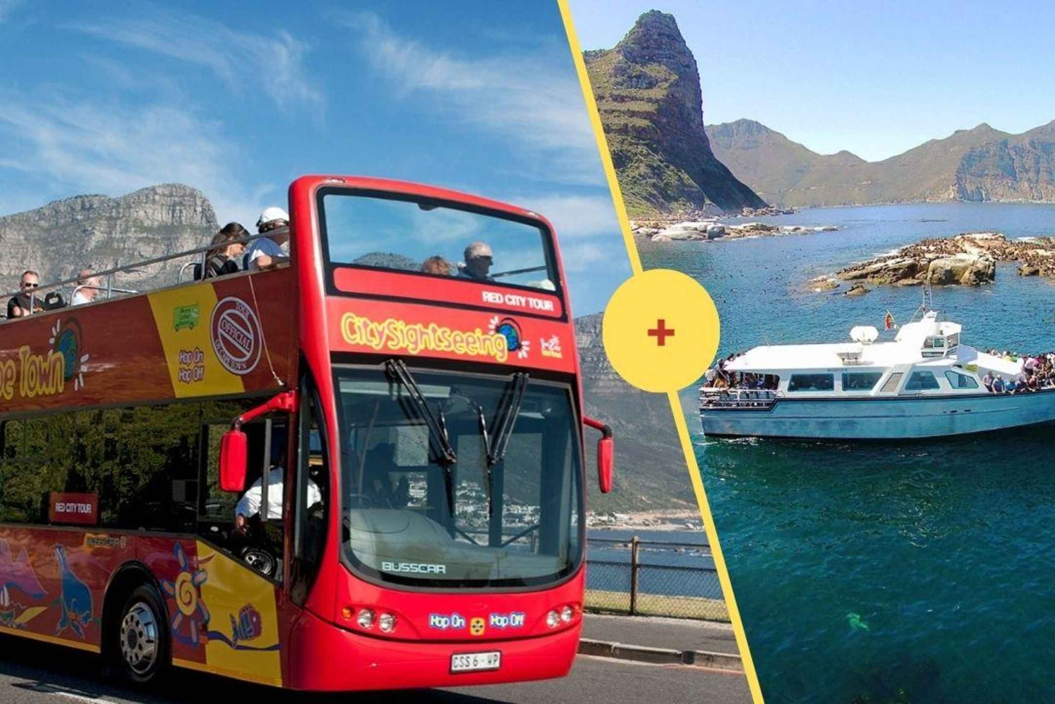 Cape Town: Hop-On Hop-Off Bus & Seal Island Adventure Cruise