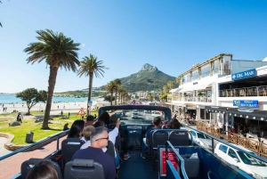 ケープタウン：ホテル送迎付きホップオン ホップオフ バスツアー