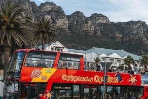 ケープタウン：ホテル送迎付きホップオン ホップオフ バスツアー