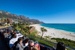 Cape Town: Hop-On Hop-Off Bus Tour with Optional Cruise