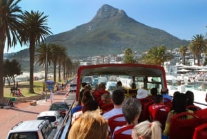 Kaapstad: Hop-on-hop-off-bustour met optionele cruise