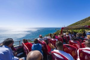 Kaapstad: Hop-on-hop-off-bustour met optionele cruise