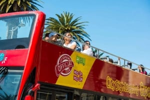 Kaapstad: Hop-on-hop-off-bustour met optionele cruise