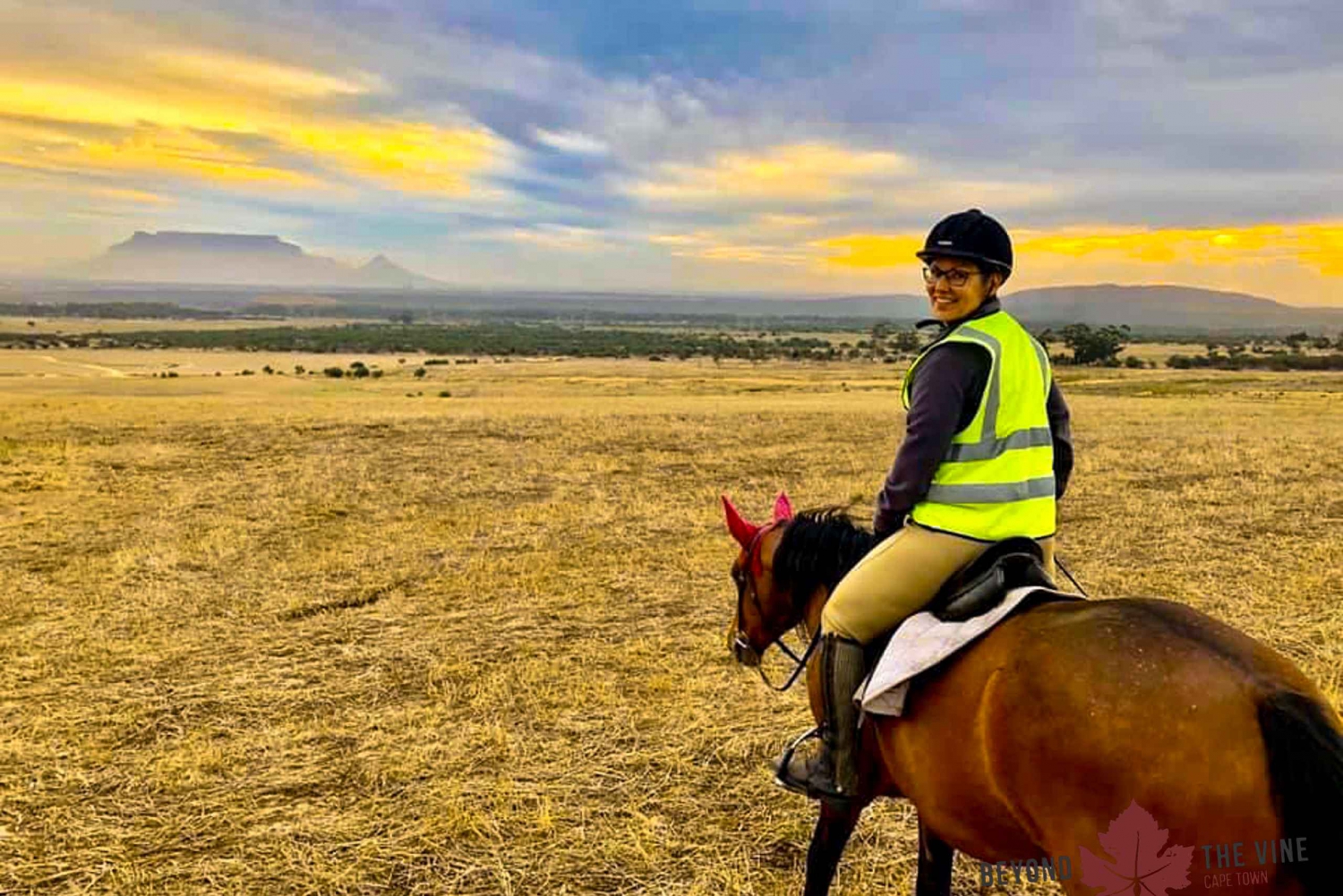 Cape Town: Horse Riding Experience
