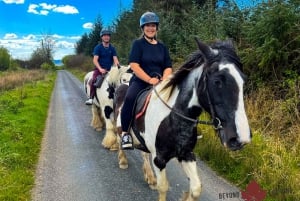 Cape Town: Horse Riding Experience