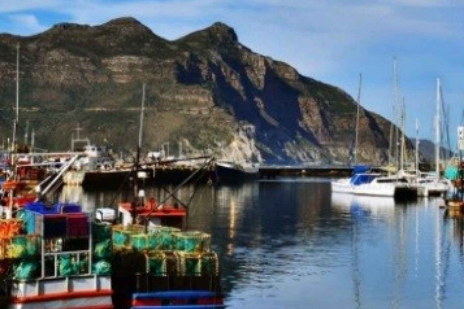 Cape Town: houtbay scenic tour ,seal island ,world of birds.
