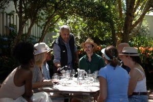 Ciudad del Cabo: Icónico paseo gastronómico, vinícola y de historias de Constantia