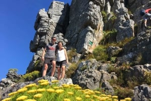Cape Town: India Venster Half-Day Hike