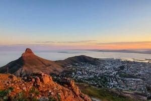 Cape Town: Vandring på Taffelberget med India Venster